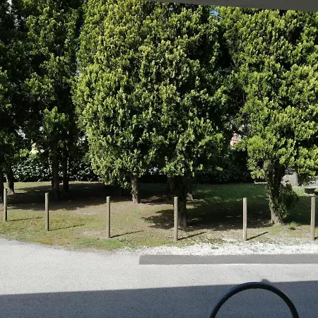 Ute